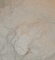 99% Crystalline BMK Powder Bubuk Bromazolam Putih CAS 71368-80-4